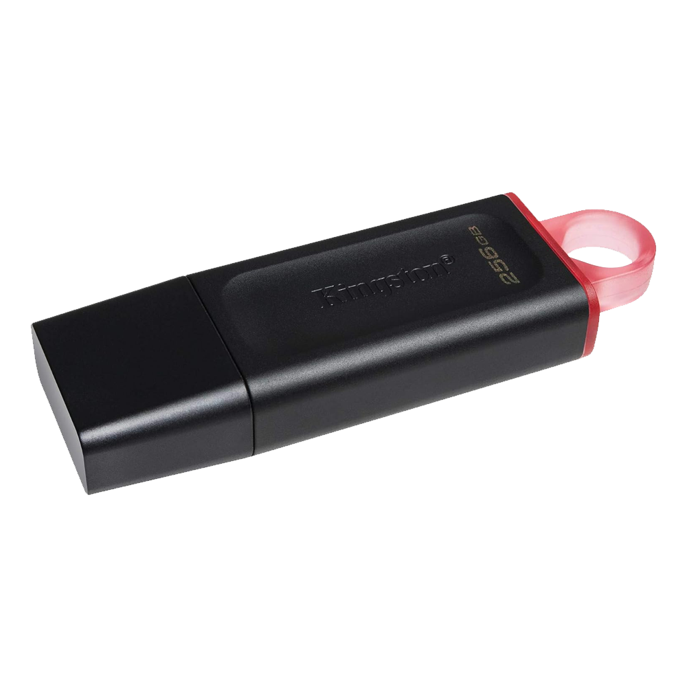 Kingston Exodia DTX 256G USB 3.2 Flash Memory