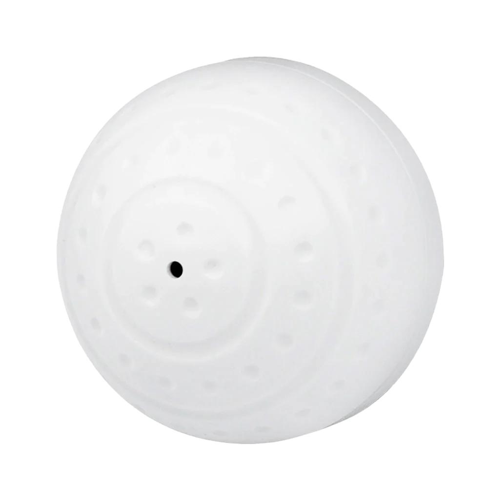 Gigamax Plus DVR Mic